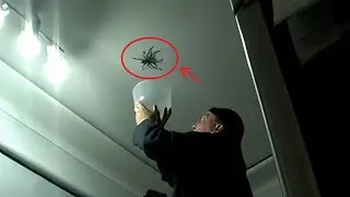 Salam Aleykum MEME LEGENDARY COMPILATION 😂  Salam Aleykum TikTok videos Funny