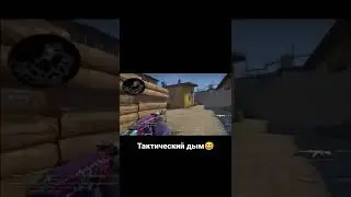 Тактический дым от мармока😂🤣😅 #shorts #shortsvideo