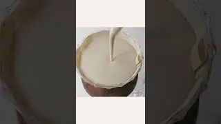 야쿠르트 맛 그릭요거트
