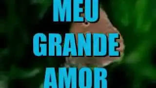 O REI ROBERTO CARLOS É O MEU ANJO DA GUARDA