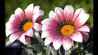Instrumental music for the soul.Raindrop.