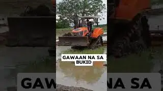 Gawaan na sa bukid..#happyfarming #shortsyoutube #farming #shortvideo