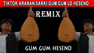 Gum Gum Lo Heseno |Kurdish Remix 2021| Roza Production