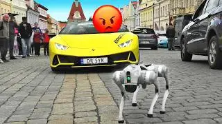 ROBOT DOG uses AI to BLOCK Annoyed Lamborghini Driver!