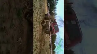 кульбит kr balamutti