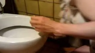 WC-Sitz austauschen - Montageanleitung (German Untertitel)