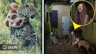 Heartwarming! This child was raised and cared for by wild animals since childhood. See his condit...
