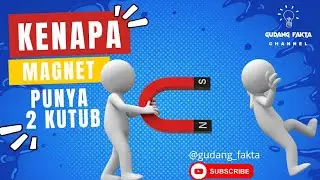 Kenapa Magnet Punya 2 Kutub?| Gudang Fakta #faktaunik #faktamenarik #infoterkini #infounik