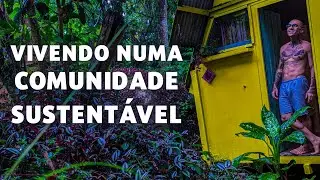 LARGUEI A VIDA NA CIDADE PRA MORAR NO MEIO DO MATO