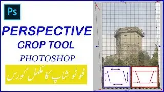 How to use perspective crop tool in Photoshop