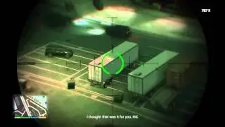 Grand Theft Auto V - Bird Down