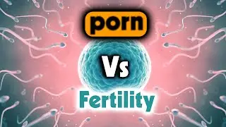 P*rn Vs Fertility