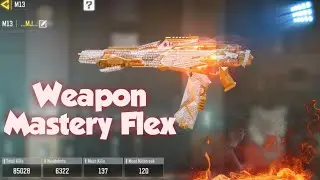 CODM Weapon Mastery Flex