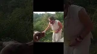 Кормим слепого быка в Индии #быки #слепой #животные