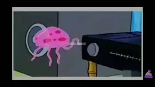 seponb vs skuit wet