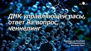 842 Днк управляющей расы, ответы, ченнелинг