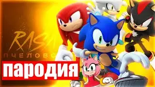 😍💫 КЛИП и ПЕСНЯ про ВСЕХ ЁЖИКОВ СОНИК l НАКЛЗ , ШЕДОУ , СИЛЬВЕР , ЭМИ РОУЗ l RASA - ПЧЕЛОВОД ПАРОДИЯ