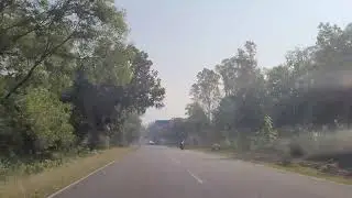 Road Travelling #travel #beautiful #jungle