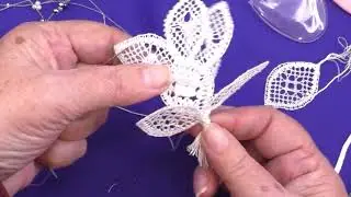 PAMMO Mystery Object with Jenny Brandis