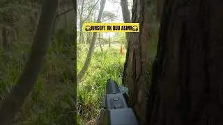 Airsoft AK Duet #shorts #airsoft #asmr