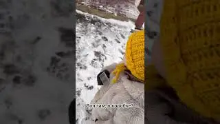 Буик на воле 👋