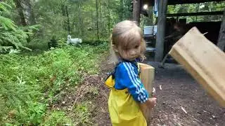 Семейная рыбалка в охотничьей избушке