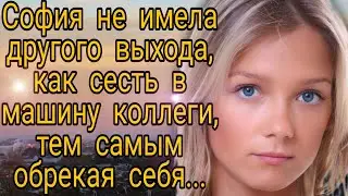 София не имела другого выхода, как согласиться сесть в машину к коллеге, тем самым обрекая себя...