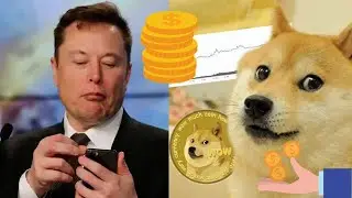 Elon Musk Blows DOGECOIN | Dogecoin Rise