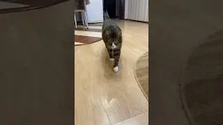 Пацан Васян