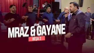 Mraz & Gayane //Shirani //Езидская помолвка 2024 PART 2