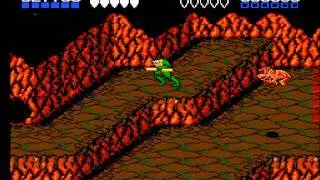 BATTLETOADS -NES-