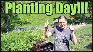 Planting Day!! (Many Hands Make Light Work)