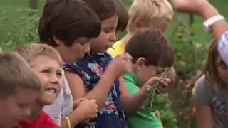How a School Garden Rocks School Meals