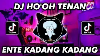 DJ HOOH TENAN X ENTE KADANG KADANG VIRAL TIKTOK TERBARU 2022