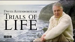 The Trials Of Life - Theme / Opening