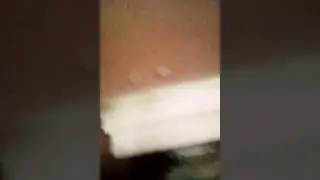 Знакомися с семьёй
