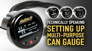 💬 How To Set Up Haltech Multi-Function CAN Gauge - Technically Speaking