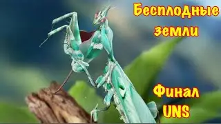 The Ants. Богомол Чертов Цветок.