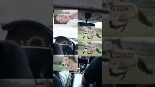 Так себе 