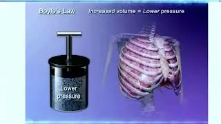 Boyle and Dalton's Laws