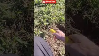 LOOK WHAT I FOUND