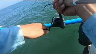 Momen Mancing Seperti ini yang kita inginkan - Video mancing No Edit