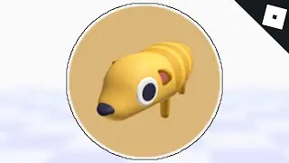 How to get the MEERKAT BADGE in FIND THE ANIMALS | Roblox