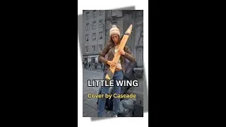 “Little Wing” performed on a Chapman Stick - by Cascade