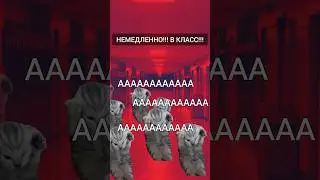 когда никто не слышит звонок 🤣 
