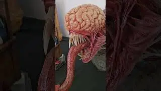 Licker 1/1 Buste Life Size resident evil Pure arts #gaming #collection #figurine #statue #shorts