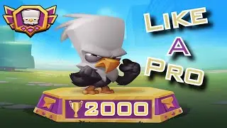 Zooba - How to play Steve like a pro - Character Guide