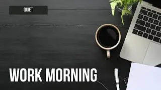Quiet working morning - Feb 19 2024
