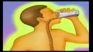 Секреты и чудодейственность фрукта НОНИ