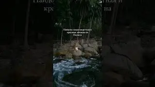 Секретная локация на Пхукете